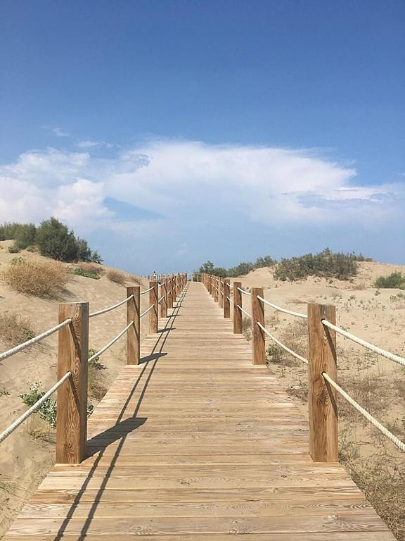 Apartmán Deltafamily ¡ Barbacoa,Piscina, Wifi Chromecast !! Els Muntells Exteriér fotografie